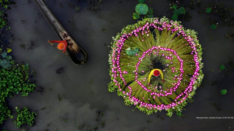 Stepping Up: Johan Rockström on planetary boundaries, philanthropy and better funding 