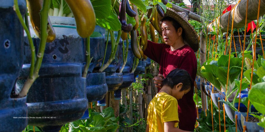 An asian man and his son are tending plants in a containerized garden in the Philippines.