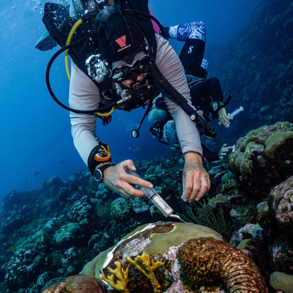 A diver called Alizee treats stony coral tissue loss disease on Rumpowered research trip - Credit: Patricia Guardiola Slattery