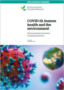 COVID health and environment briefing cover
