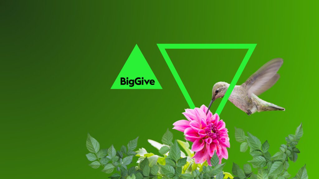 On a green background, there is the green triangle logo with Big Give. There is also a hummingbird feeding from a pink flower and a green hollow triangle framing the bird.