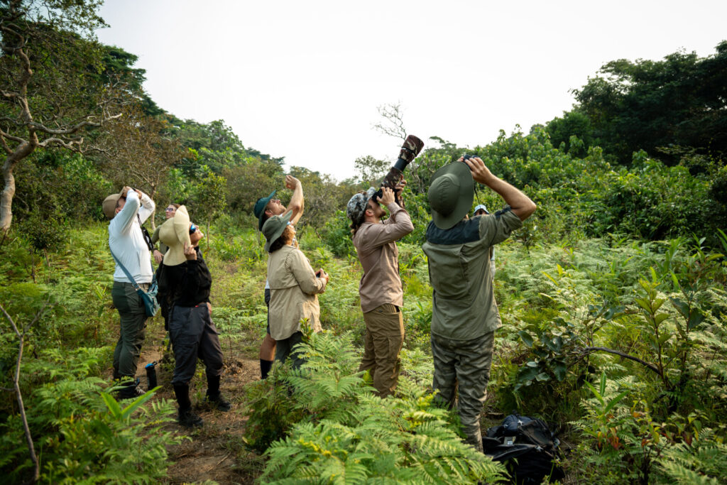 A group of male and female tourists are standing in a circle watching for birds with cameras and binoculars in a clearing in a tropical forest in the DRC.