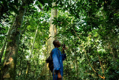 Moyemu, a black man wearing a rucksack and a blue shirt, is observing the scenery in a tropical forest in the DRC.