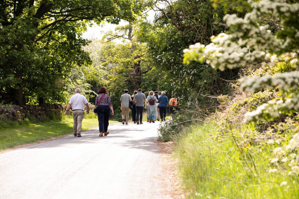 A mixed group of men and women are walking down a country lane with their backs to the camera on a sunny day