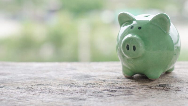 WATCH | Environmental Impact Investing Group (EIIG) learning programme