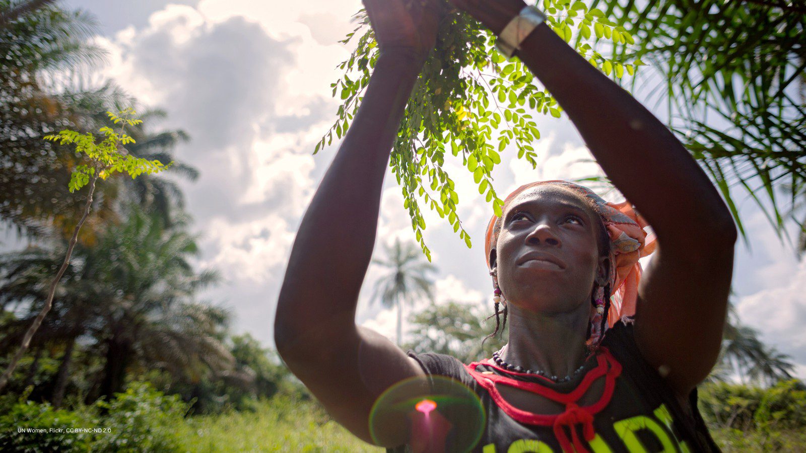 COP15 in Montreal Reasons to be cheerful? Environmental Funders Network